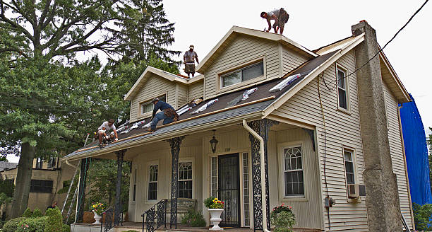 Best Metal Roofing Contractor  in New Holland, PA